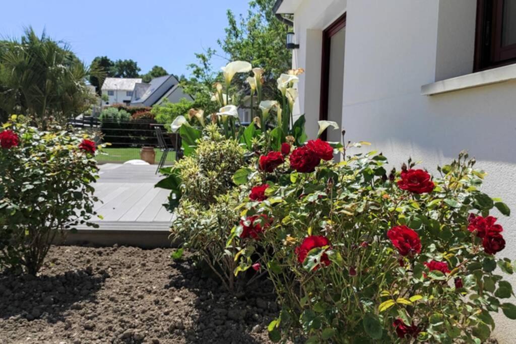 ✪ Sur La Route Des Plages - Maison Pour 8 Pers. ✪ Auray Esterno foto